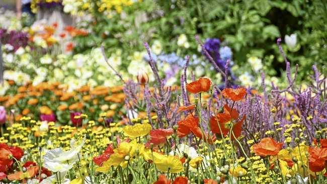 Carnival of Flowers 2019: Queens Park. September 28. Picture: Bev Lacey