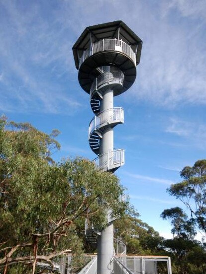 Gain a bird's-eye view at Fly Treetop Adventures.