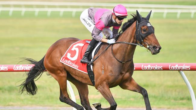 Plenty Of Ammo cruised to victory under Jordan Childs last start at Sandown. Picture: Pat Scala–Racing Photos via Getty Images