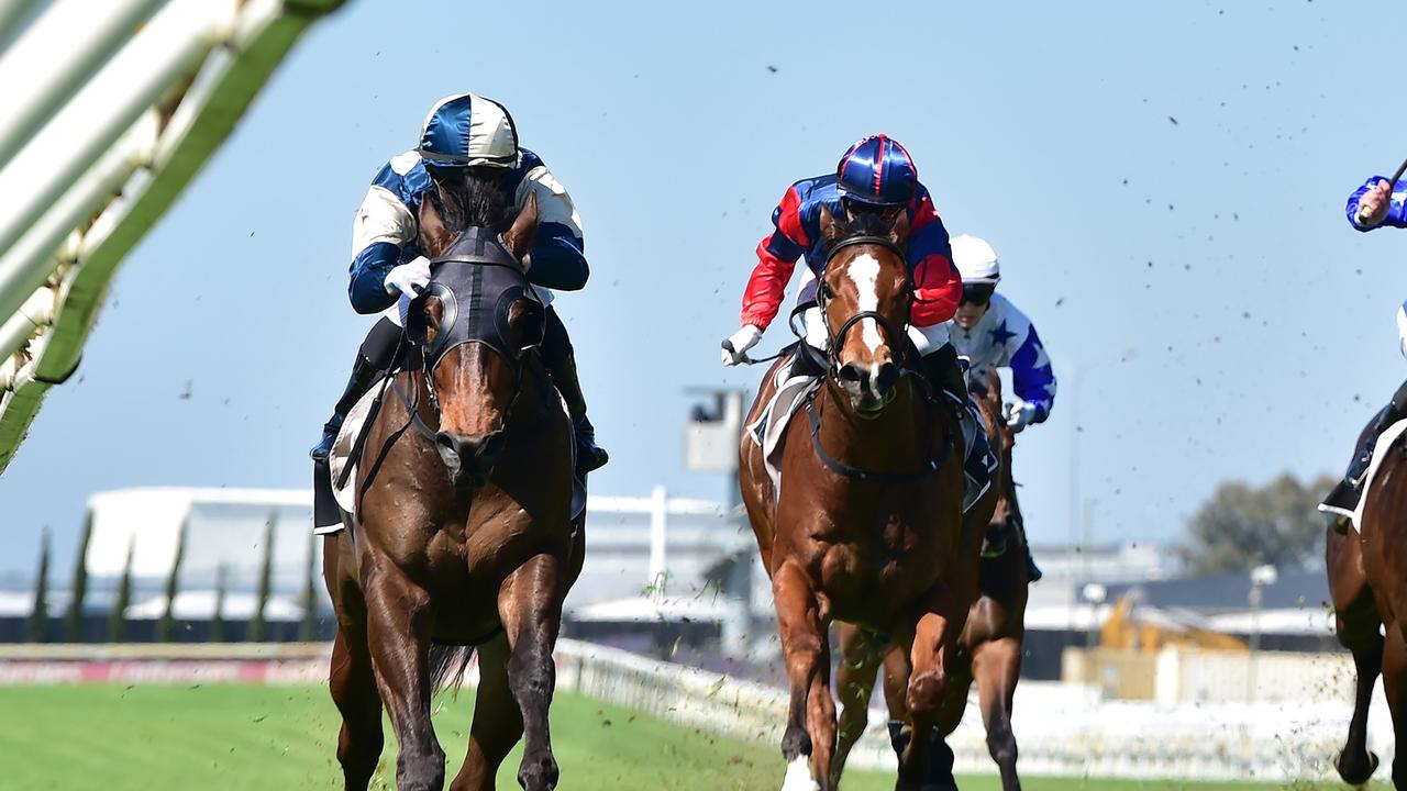 Odinson to score Super Bowl Monday touchdown at Caulfield Heath