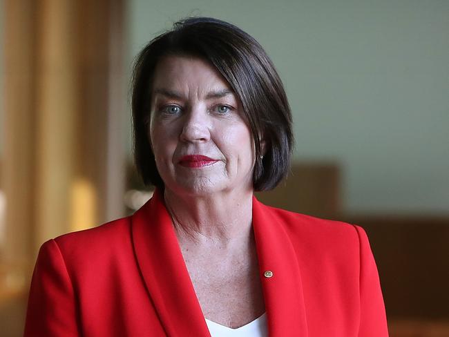 ABA CEO Anna Bligh speaking at a doorstop at Parliament House in Canberra.