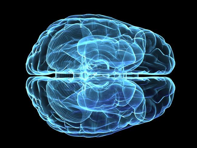 3D wire-frame graphic of a brain. Human Brain. stock image. Picture: ThinkStock