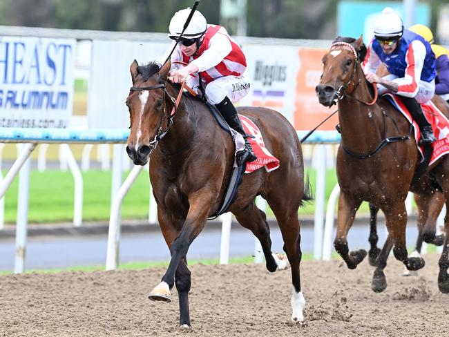 Not Surprised wins on debut at the Sunshine Coast for trainers Anthony and Sam Freedman. Picture: Grant Peters, Trackside Photography.