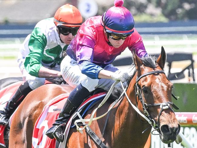 Hot Digity Boom can make an impact when the Mick Price and Michael Kent Jr-trained galloper resumes at Pakenham on Thursday. Picture: Racing Photos via Getty Images.