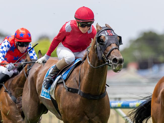 Wiggum wins at Gawler in December. Picture: Makoto Kaneko