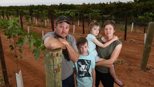                         <s1>Ashley Chabrel, with his family, says the risk of lower water allocations will take the shine off a good season for growers. </s1>                        <s1/>                        <s1>Picture: Tricia Watkinson</s1>                     