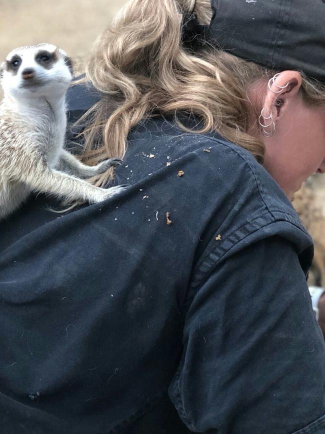 Zoo keeper Jennifer Brown