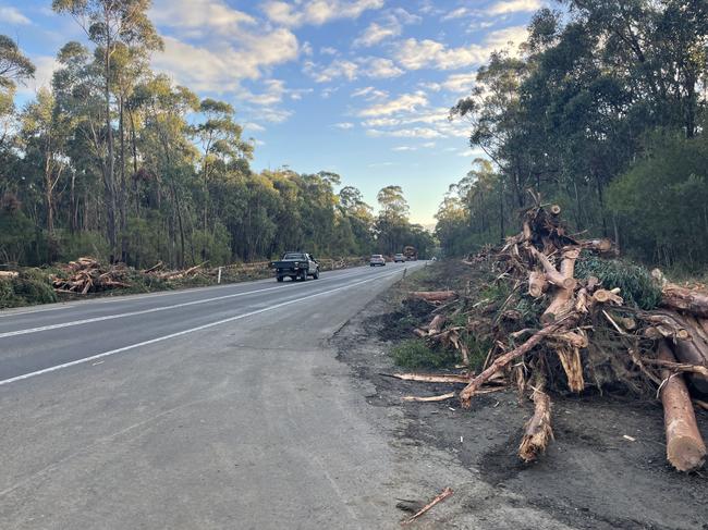 Mr Wilson understands the removed trees were being used for “community purposes”. Picture: Jack Colantuono