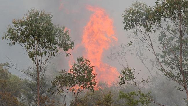 Bushfires Burn Through Carnarvon National Park As 100 Blazes Rage ...