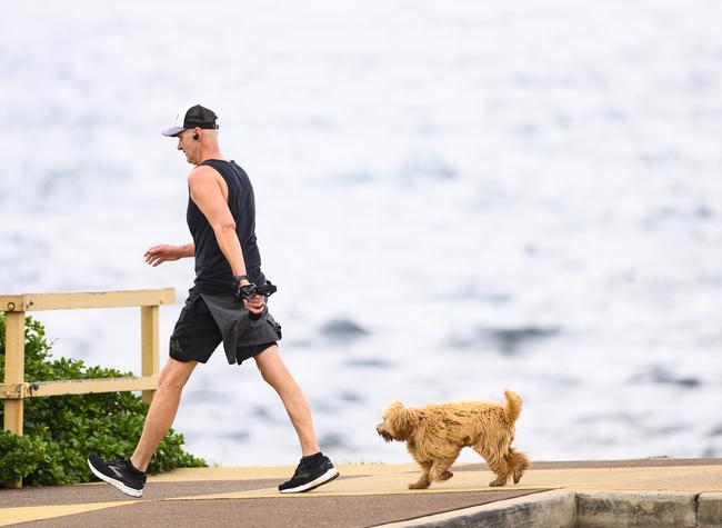 Man and dog walking.People at Eastern Beaches during Social Distancing due to the coronavirus crisis. Picture's Darren Leigh Roberts