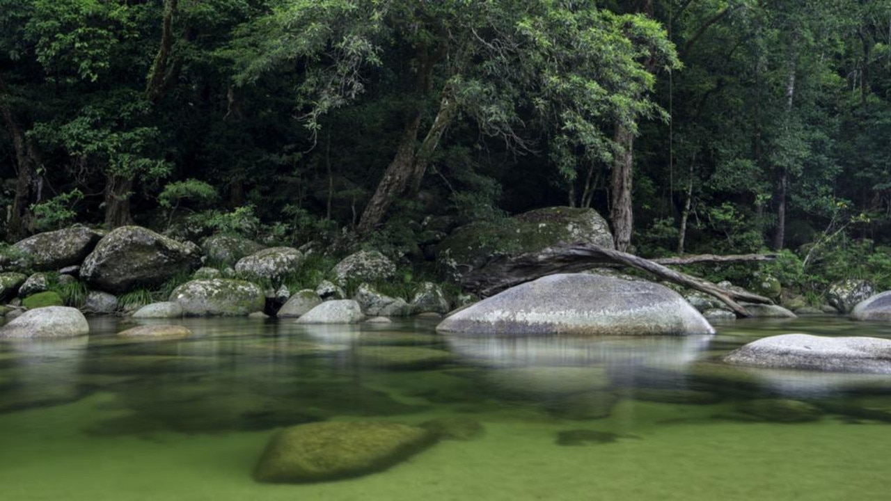 Mosman Gorge, in Queensland’s Daintree National Park. Picture: Mossman Gorge Cultural Centre.