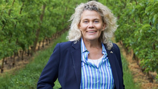 National Farmers’ Federation president Fiona Simson has spoken at The Weekly Times’ VirtuAg webinar about how to reach ag’s 2030 target.