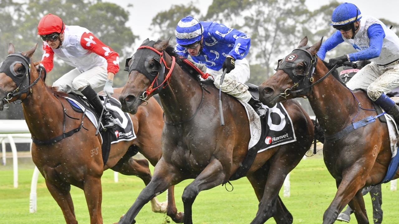 Warwick Farm preview: Pride’s gelding to Storm back to winners’ circle