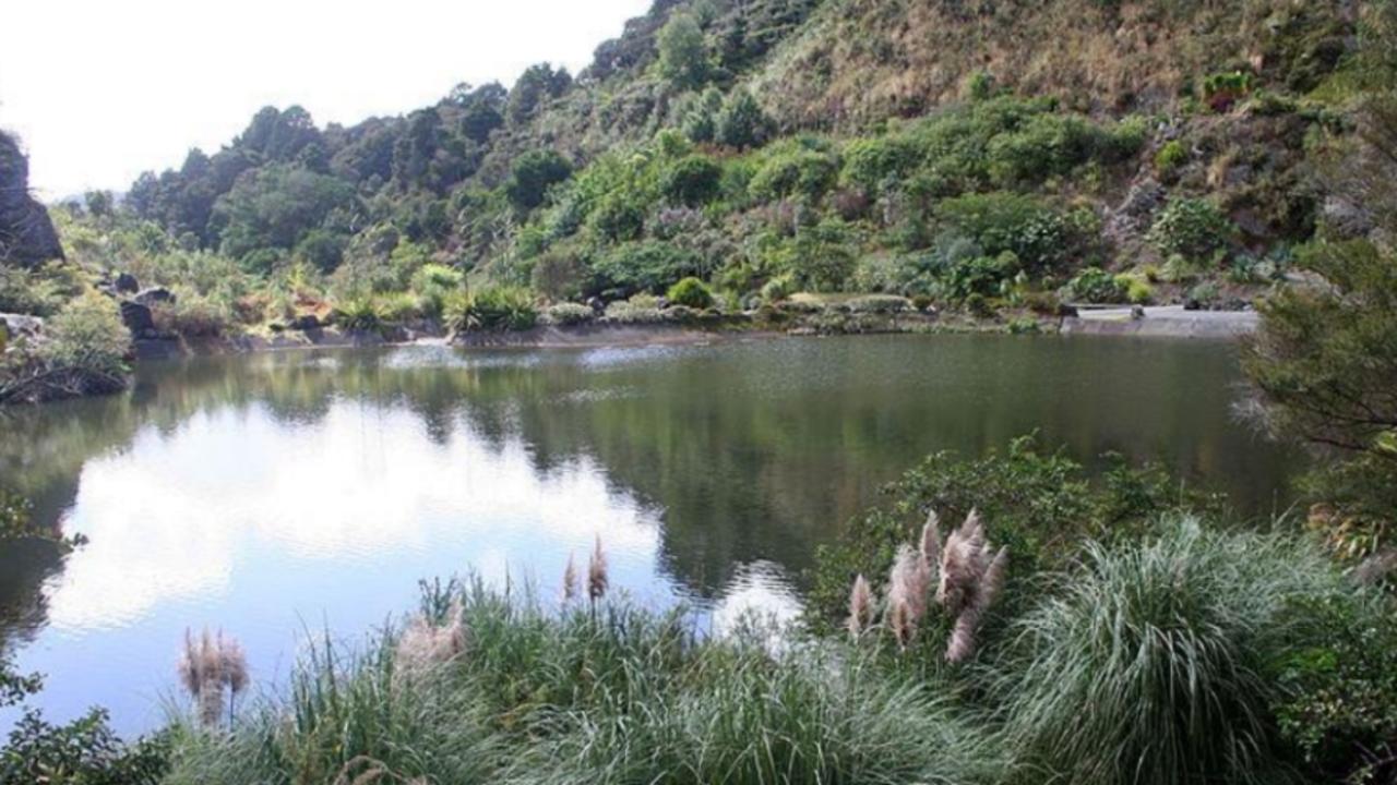 Other rehabilitated quarry sites.Whangarei Gardens.