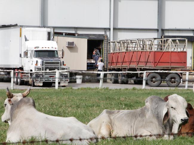 It is the sixth to Australian beef producer to be hit with a suspension. Picture: Glenn Barnes