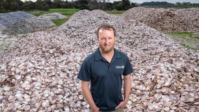 Simon Branigan with some of the shells donated from restaurants that will be used to rebuild oyster and mussel reefs in Port Phillip Bay. Picture: Brad Fleet