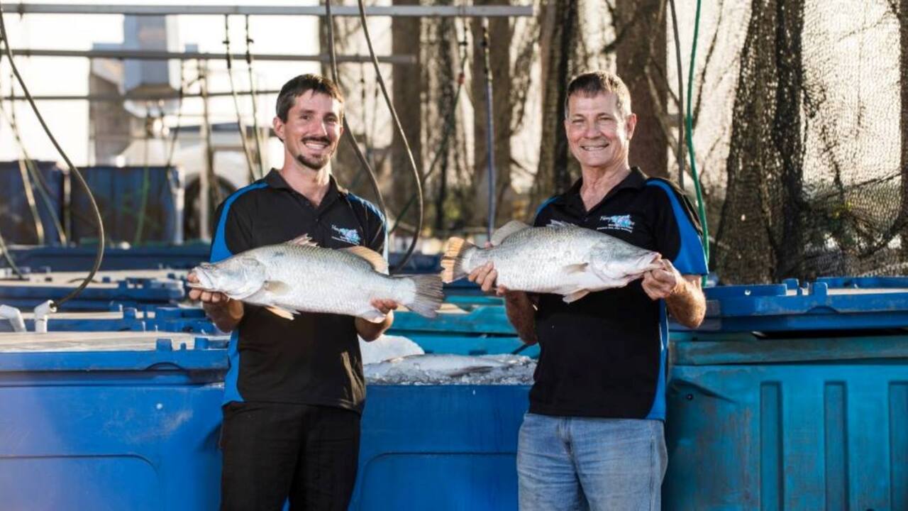 Barramundi farm first project funded by NAIF in the NT