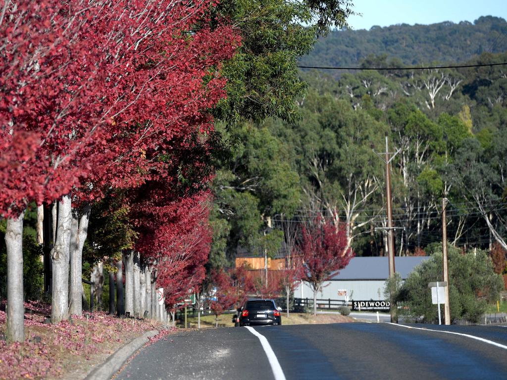 Hahndorf is a must-see spot for visitors to the Adelaide Hills. Picture: Tricia Watkinson