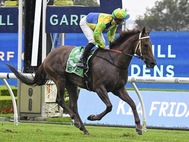 Rosehill Gardens, 07 December 2024, Winner - Sunchyme. Picture: Bradley Photos