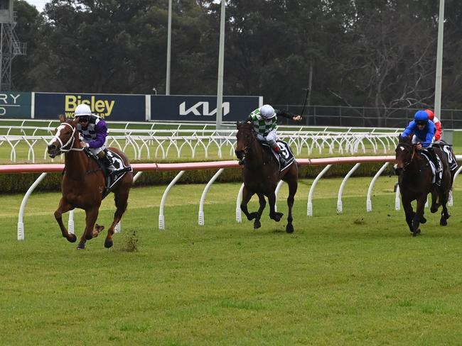 Extremely Hardys wins her debut by six-lengths at Canterbury on Wednesday. Photo: Bradley Photos.