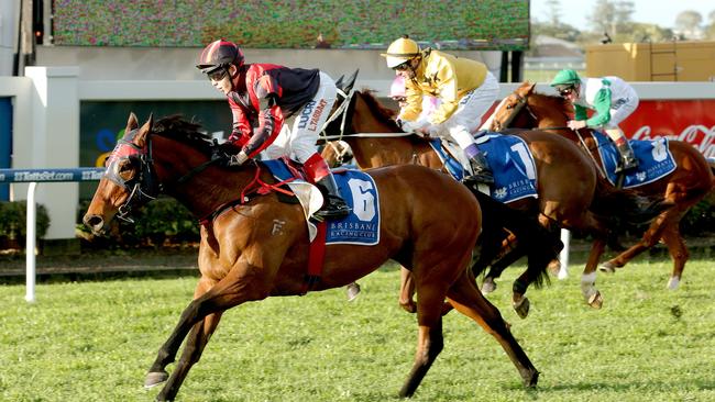 You Did What wins the last race at Eagle Farm for almost two years. Picture: Mark Cranitch