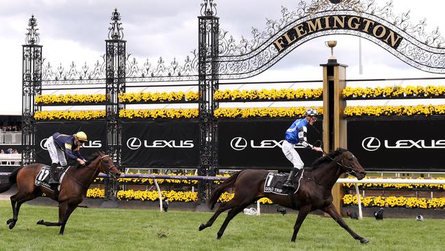 Gold Trip winning last year’s Melbourne Cup. Can he repeat the dose?