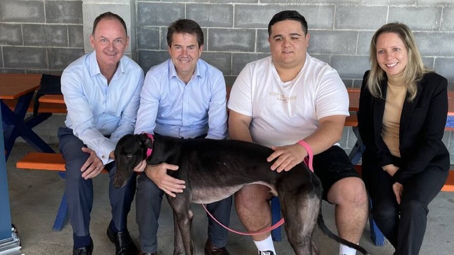 Steve Griffin (left) has been offered the role to be the next CEO of GRNSW