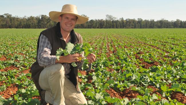 High hopes: Jarrod Amery in some of the 450ha of canola he has planted this year at his farm south of Forbes in NSW, along with 1300ha of wheat and 600ha of barley. Picture: James Wagstaff