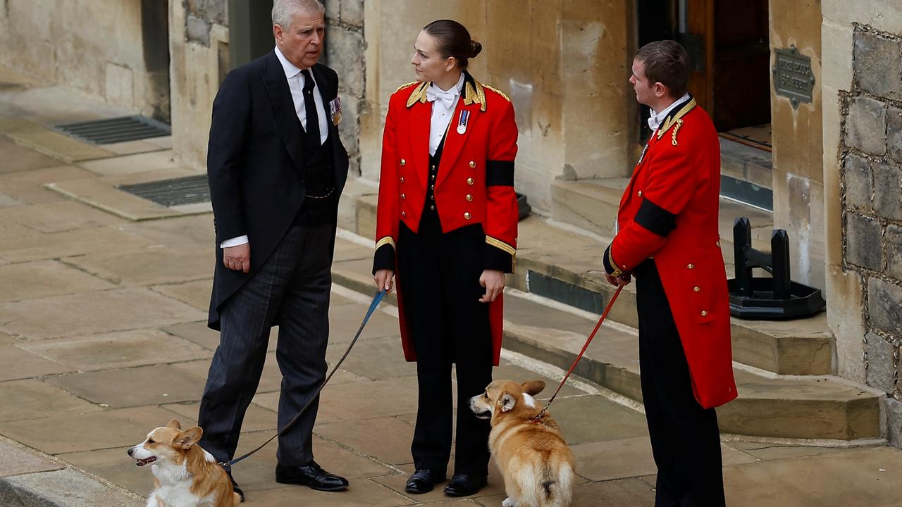 Prince Andrew with the Queen’s corgis at Windsor Castle during the Committal Service for her last week. Picture: Peter Nicholls - WPA Pool/Getty Images