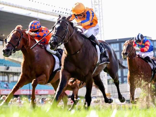 Imperatriz ridden by Opie Bosson wins the 3 Point Motors William Reid Stakes at Moonee Valley Racecourse on March 23, 2024 in Moonee Ponds, Australia. (Photo by George Sal/Racing Photos via Getty Images)