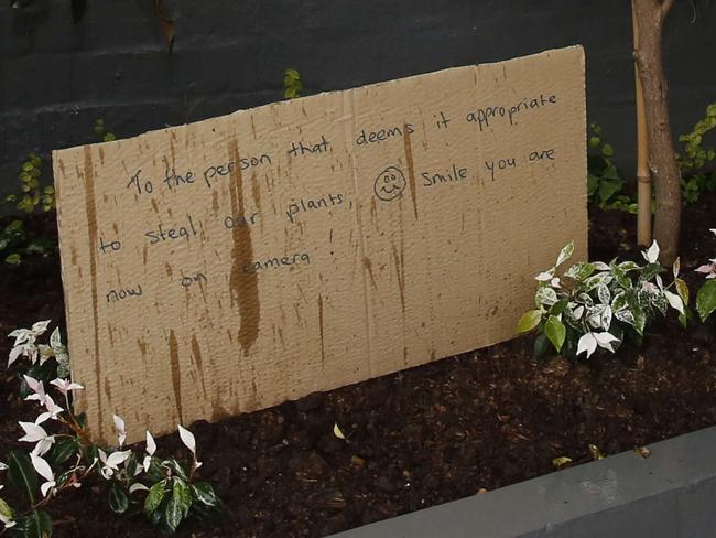 The homemade sign in the partly empty garden bed. Picture: David Swift