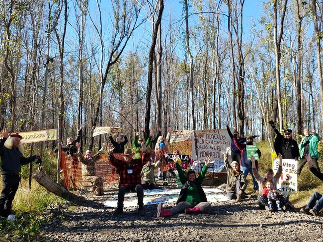 Community members have rallied together to help save the Banyabba Koalas.