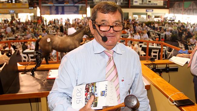 Magic Millions auctioneer David Chester was kept busy on the opening day of the sales.