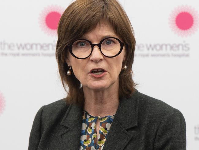 MELBOURNE, AUSTRALIA - NewsWire Photos SEPTEMBER 1, 2024.  Minister for Health Mary-Anne Thomas makes an announcement at the Royal Womens Hospital, 20 Flemington Road, Parkville.  Picture:  NewsWire / Tony Gough