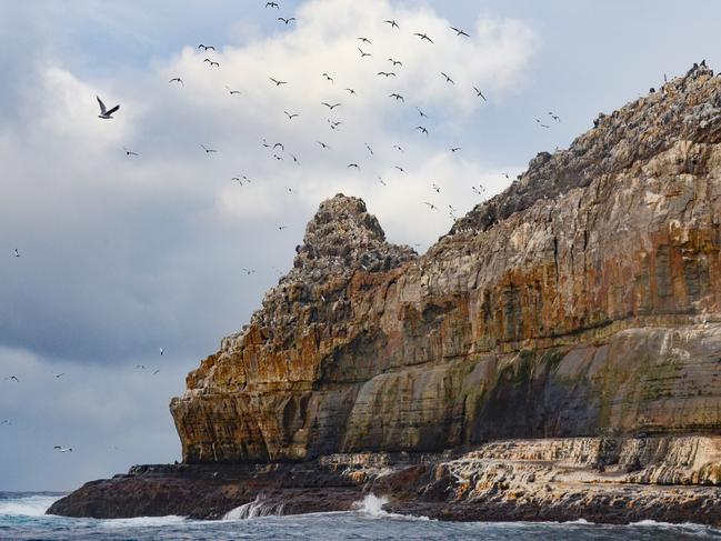 Pedra Branca – home to gannets, gulls, albatross, seals and a rare skink. Picture: Peter Marmion