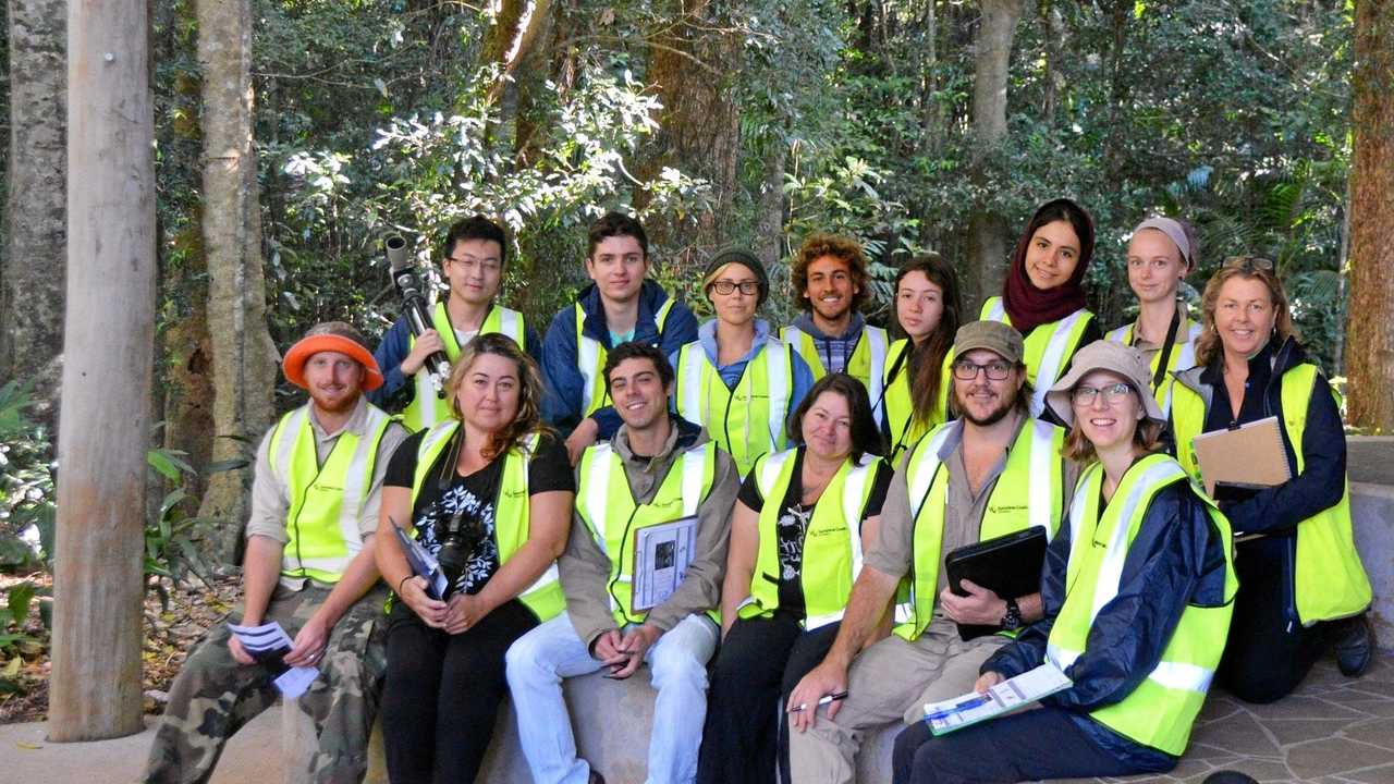 Students on the trail of Mary Cairncross pademelons | The Courier Mail