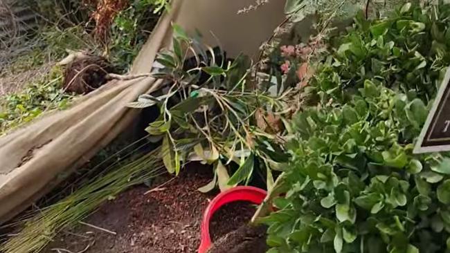 Damage caused to Formosa Gardens Nursery in Redan during a burglary on January 29, 2025. Picture: Facebook