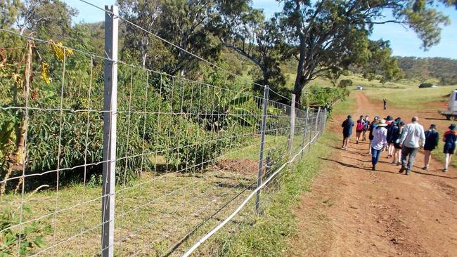 St Ursula's College students toured the High Valley Dawn permaculture farm as part of their Social Science studies. Picture: contributed