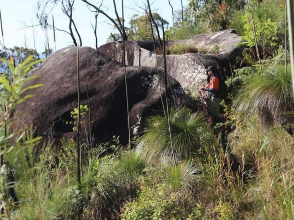 The Pioneer Valley Mountain Bike Trails will traverse through subtropical rainforest. Picture: Mackay Regional Council