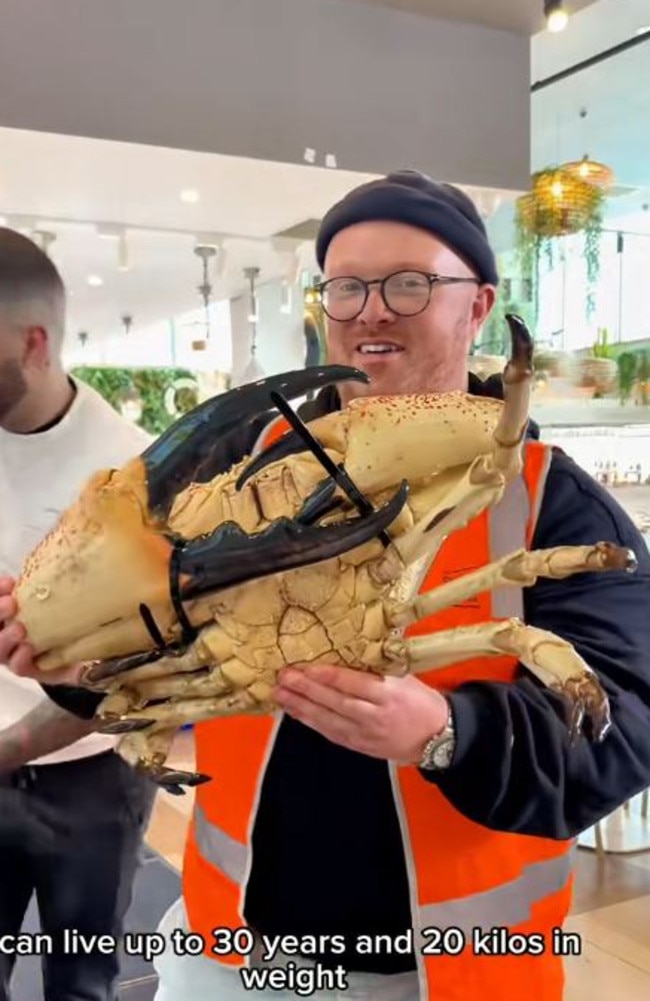 Mr Inskip said he was nervous about eating such a big animal, but was otherwise excited. Picture: TikTok/EatingWithTodd