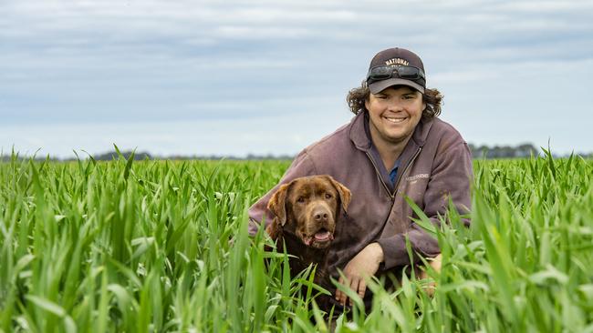 Grain grower Ethan Hocking in his crops pictured with his Labrador named Nigel. Picture: Zoe Phillips