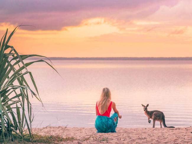 Noosa tourism looking to survive pandemic blows