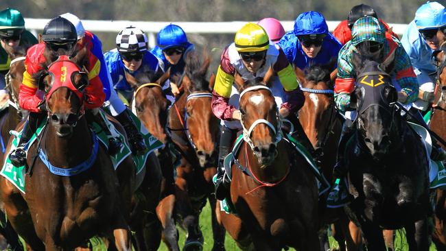 Christian Reith (not pictured) has four rides at Muswellbrook, all for trainer Brett Partelle. Picture: Jenny Evans