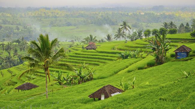 Best hotels in Ubud, Bali | escape