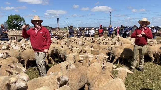 Auctioneers call for bids at the Jerilderie sheep sale where sheep were hard to sell on the back of El Nino fears.