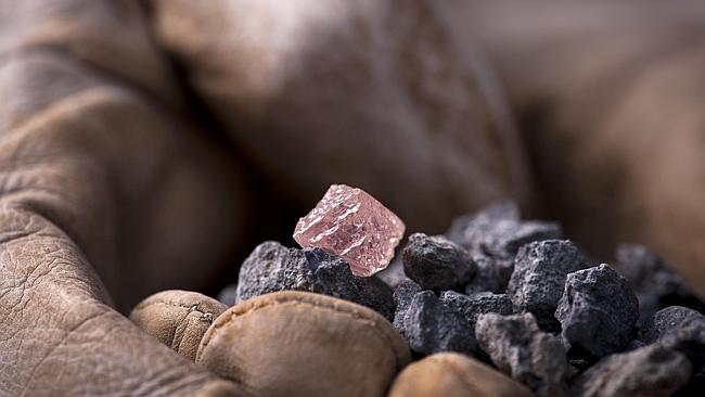 A miner holds a pink diamond known as the Argyle Pink Jubilee.