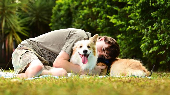 At 8 years old, Devlin lost his leg to bone cancer, but now his assistance dog Jinx, requires heart surgery to survive. Picture: Alix Sweeney