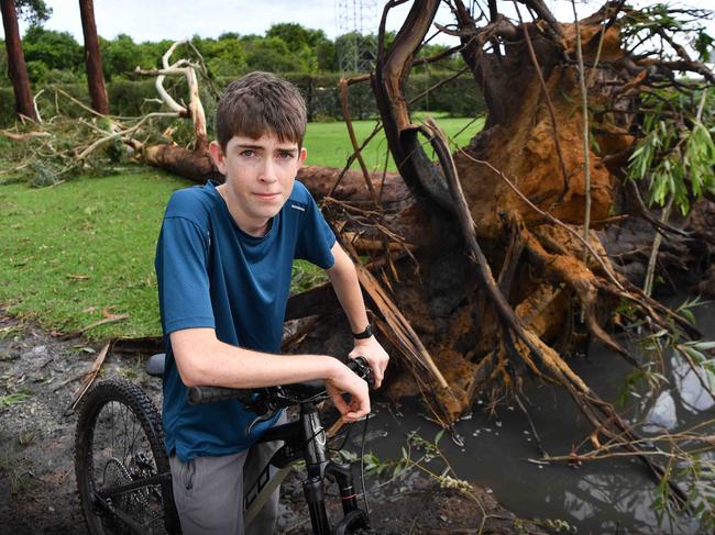 Beerwah’s Joel Newell with a massive tree felled from overnight storms. Photo: Patrick Woods.