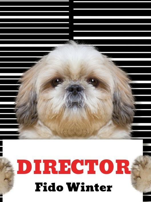 Mr Winter says company registration laws are so lax, a dog could be named director.