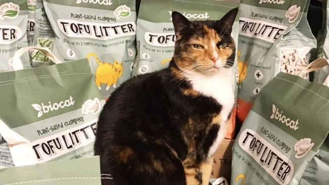 Luxurious Pet Products For Cats Petssager Biocat Litter And Fur Ever After body soul